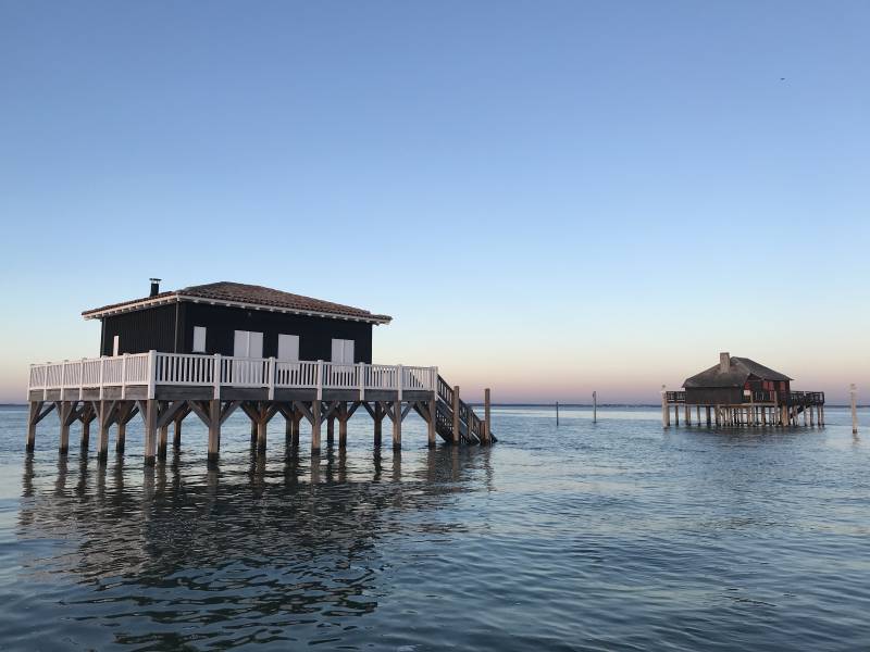 Quoi faire pendant les vacances de Noël à Arcachon : une balade en bateau sur le bassin d'Arcachon !