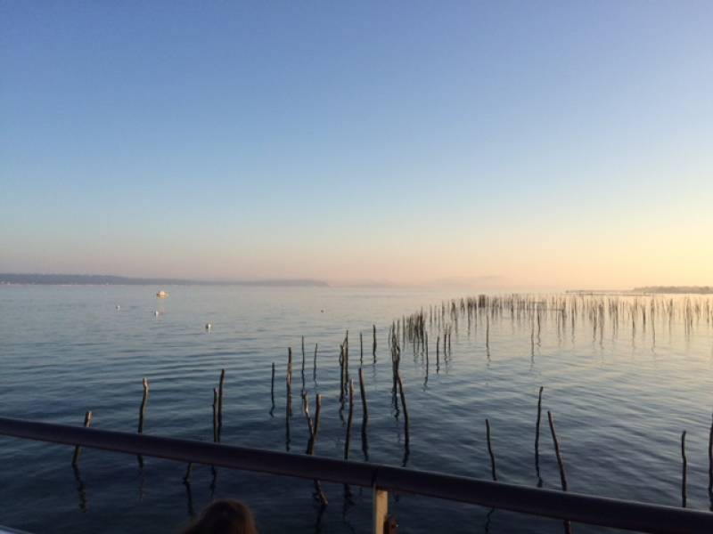 Parcs à huîtres en bateau privatisé sur le bassin d'Arcachon