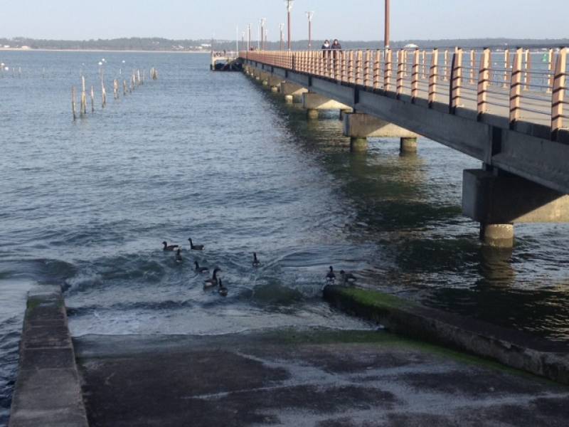 La jetée de Bélisaire - Embarcadère principal du Cap Ferret